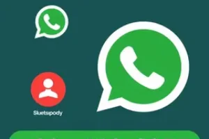 RSS Feed