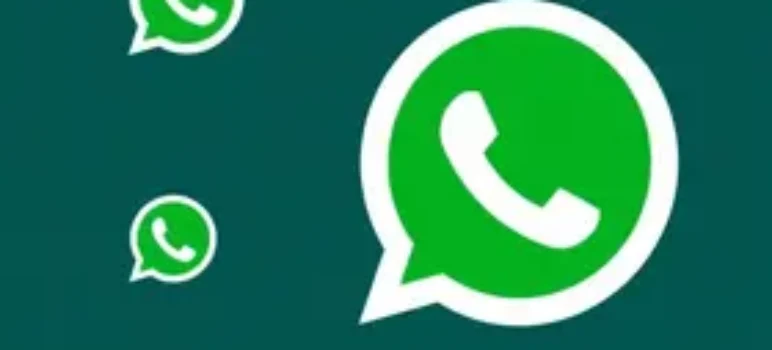 RSS Feed Article
