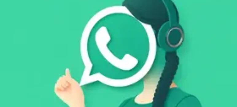 RSS Feed