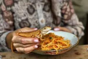 lagartixa em macarrão