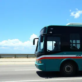 transporte clandestino