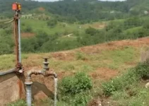 mídia eletrônica
