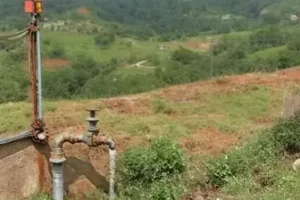 mídia eletrônica